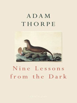 cover image of Nine Lessons From the Dark